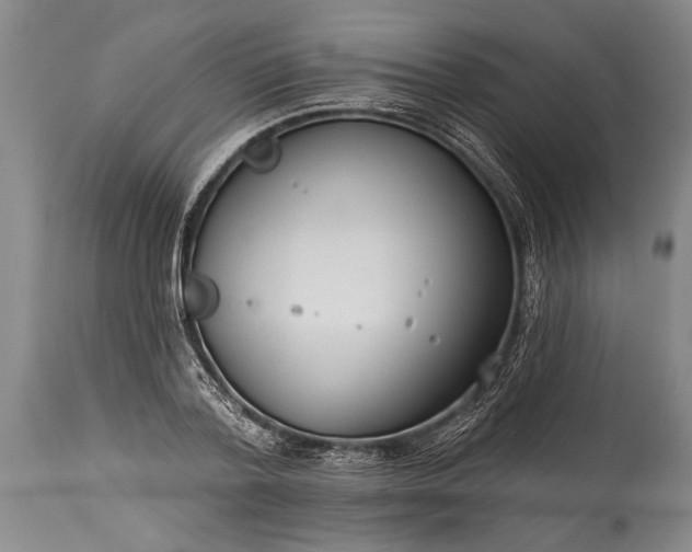 X0000115430788200911181500