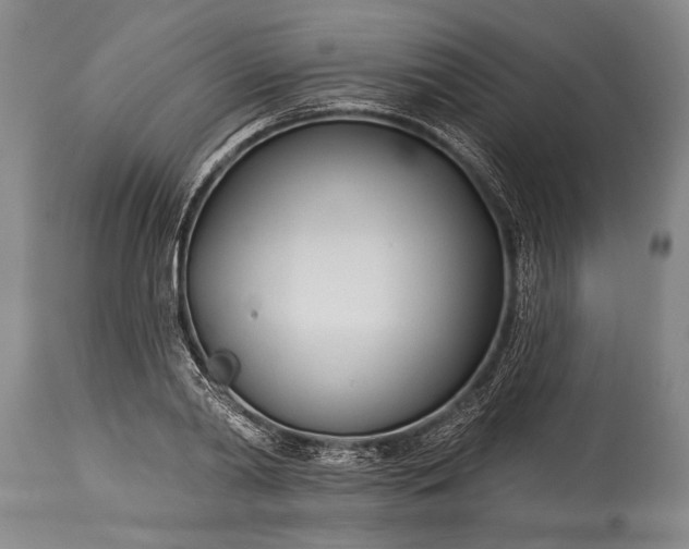 X0000115430790200911181500