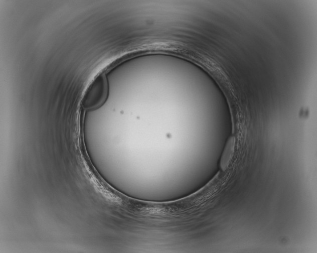 X0000115430792200911181500