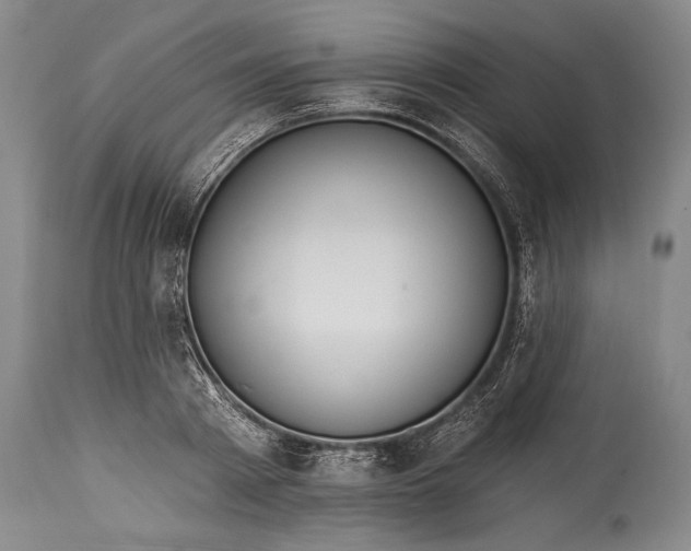 X0000115430793200911181500