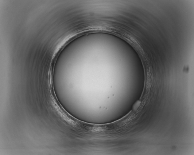 X0000115430796200911181500