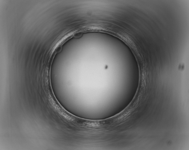 X0000115430798200911181500