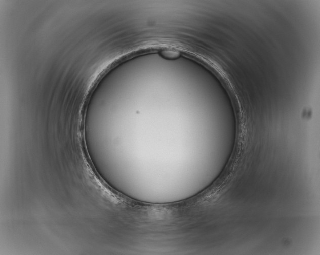 X0000115430799200911181500