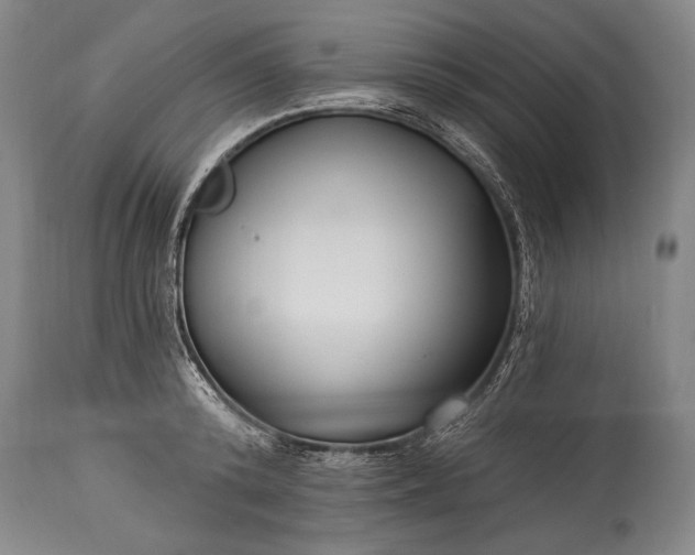 X0000115430800200911181500