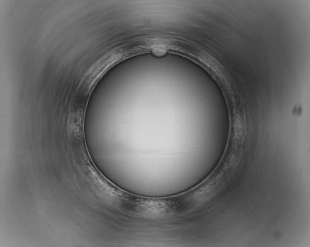 X0000115430801200911181500