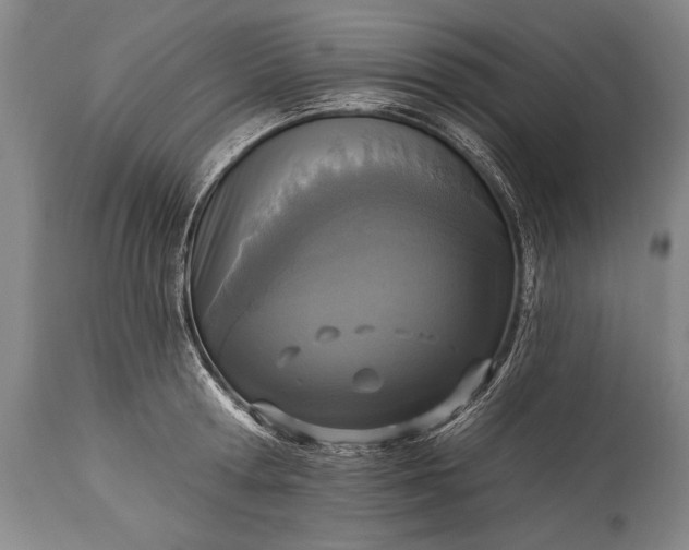 X0000115430802200911181500