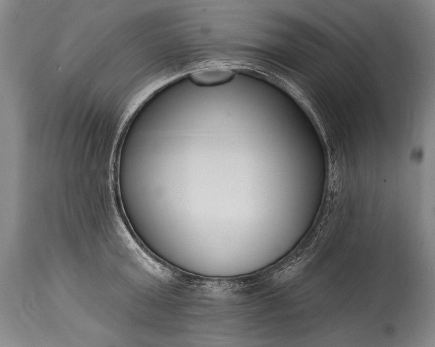 X0000115430803200911181500