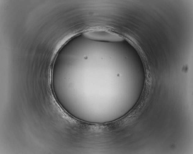 X0000115430804200911181500