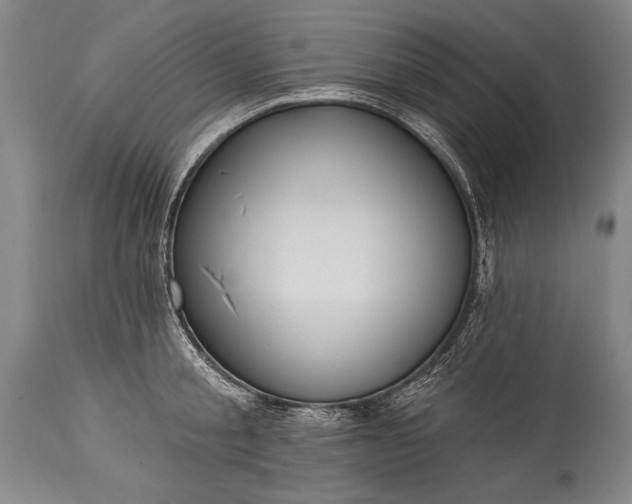 X0000115430805200911181500