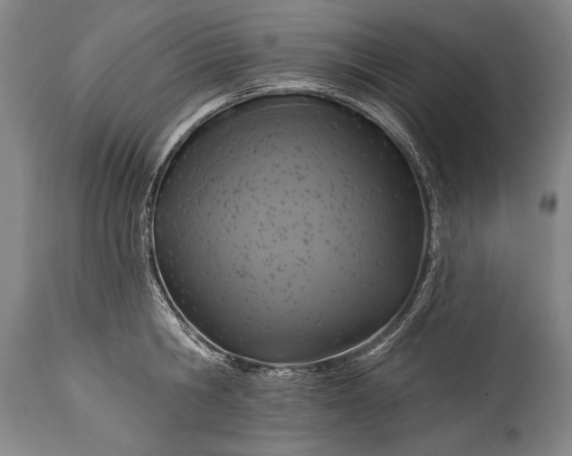 X0000115430806200911181500