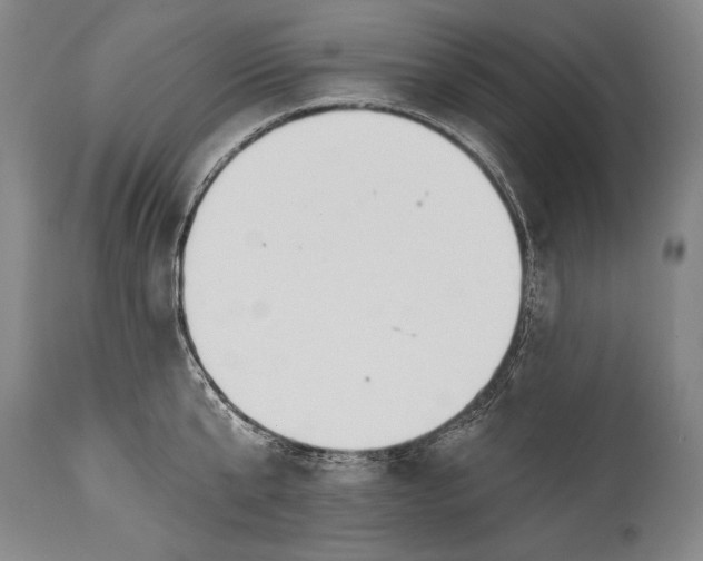 X0000115430807200911181459