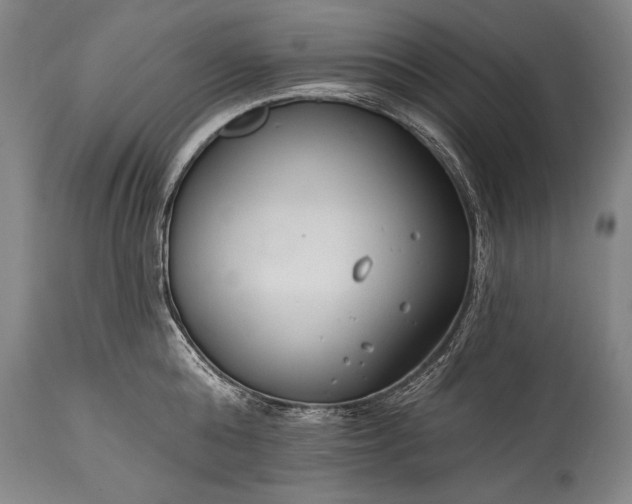 X0000115430808200911181459