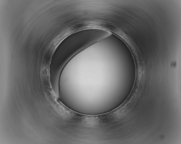 X0000115430809200911181459