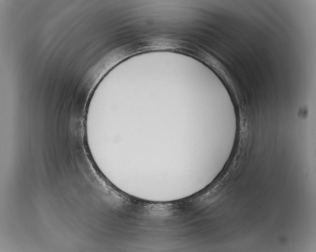 X0000115430810200911181459