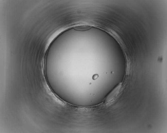 X0000115430812200911181459