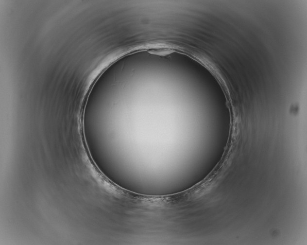 X0000115430813200911181459