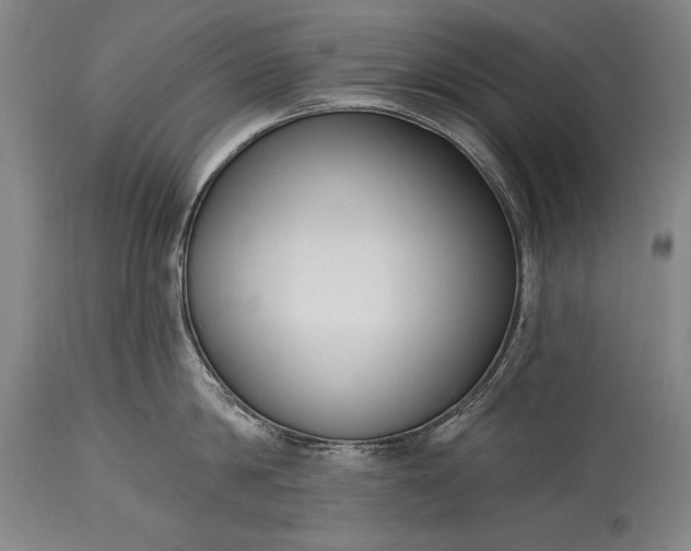 X0000115430814200911181459