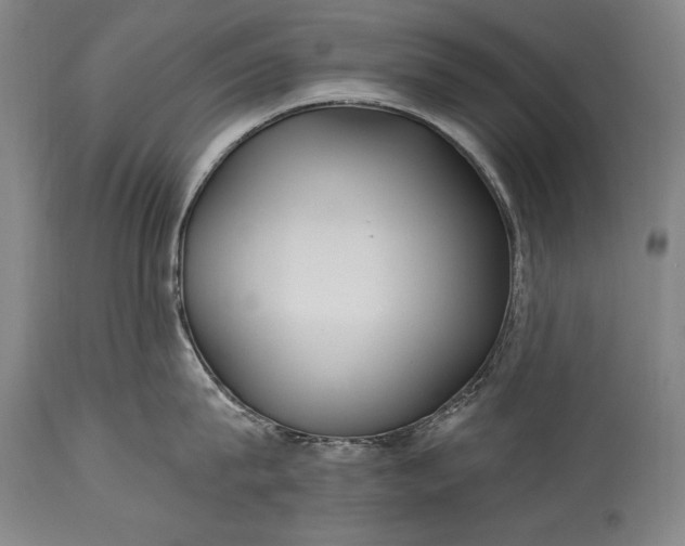 X0000115430815200911181459