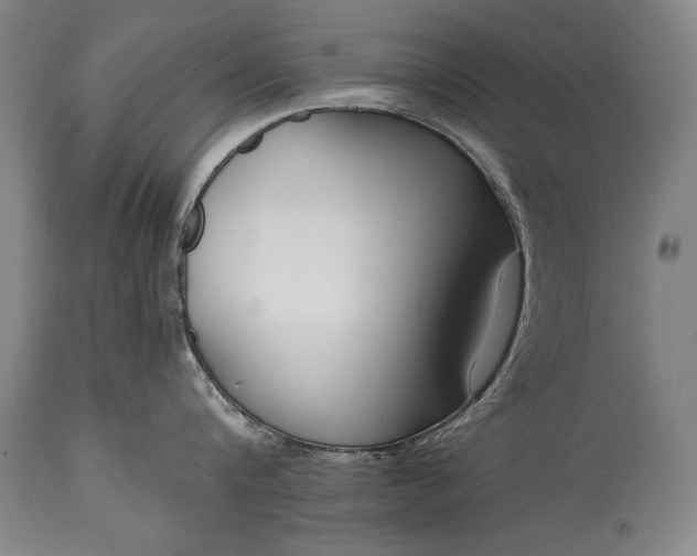 X0000115430816200911181459