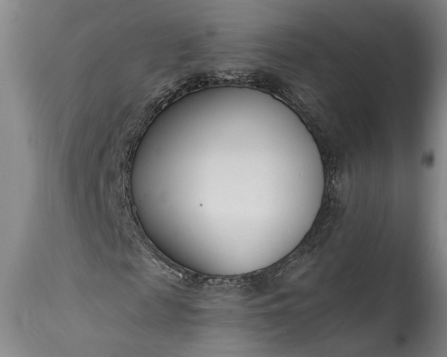 X0000115430817200911181458