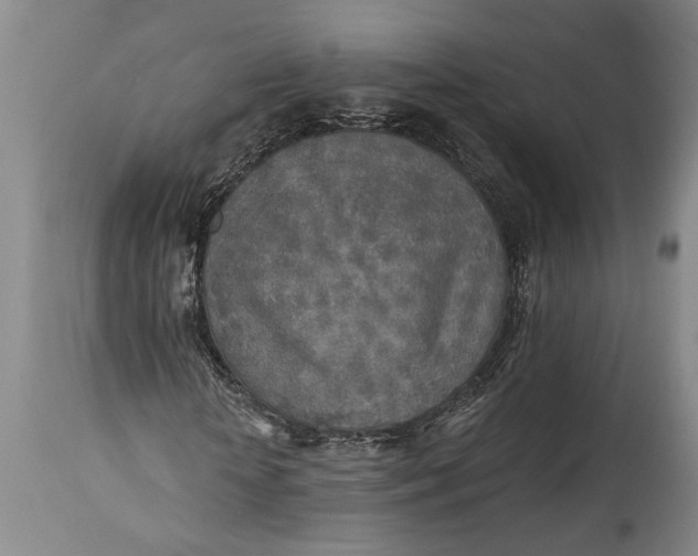 X0000115430818200911181458