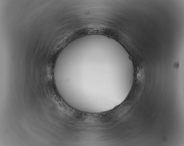 X0000115430819200911181458