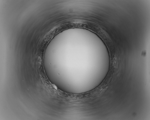 X0000115430821200911181459