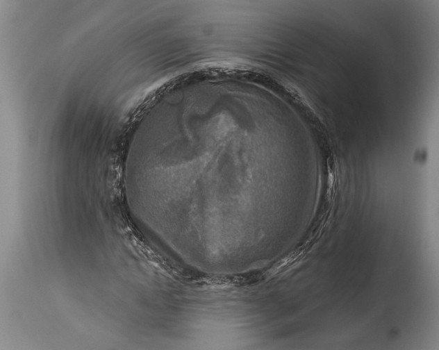 X0000115430822200911181459