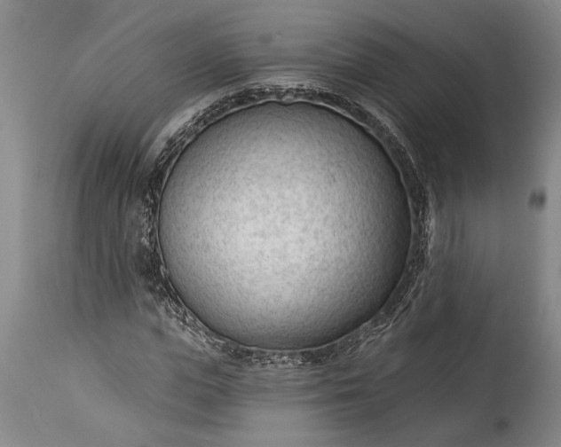 X0000115430823200911181459