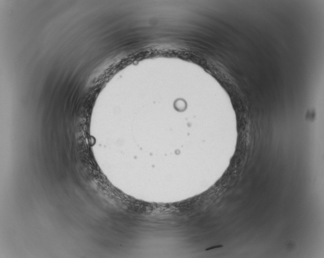 X0000115430824200911181459