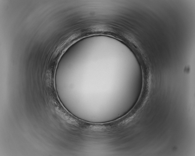 X0000115430825200911181459