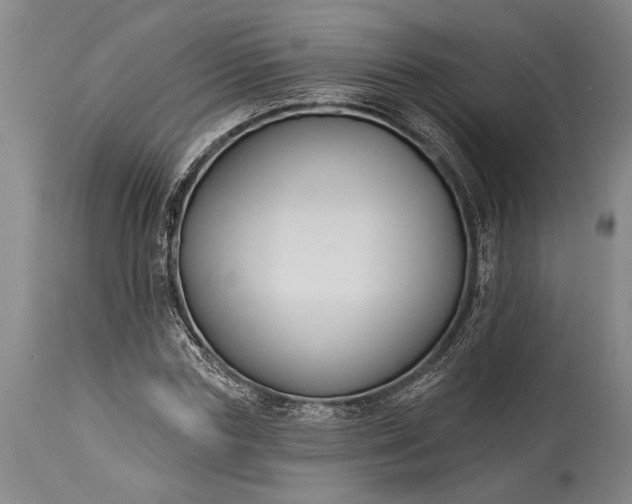 X0000115430827200911181459