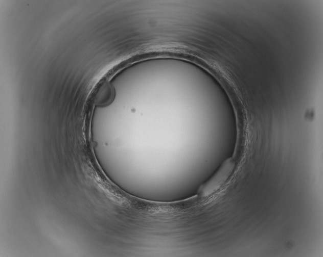 X0000115430830200911181459