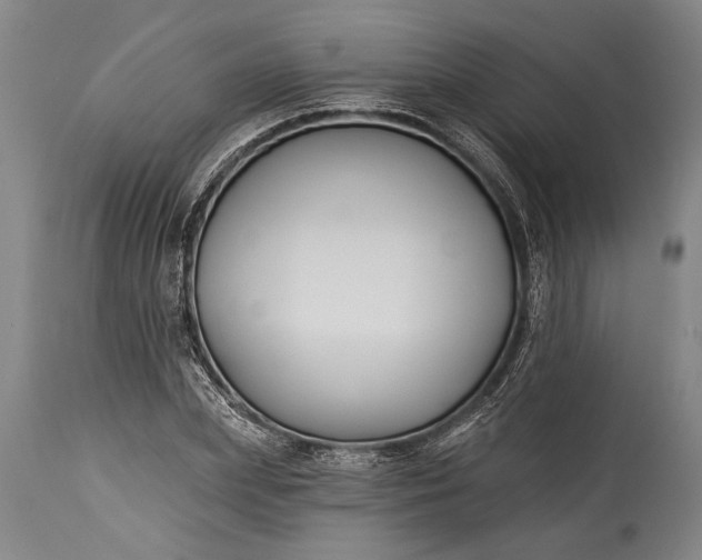 X0000115430831200911181459