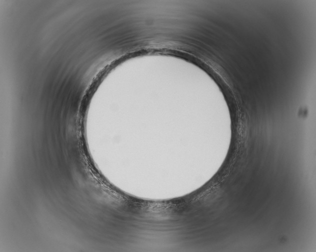 X0000115430832200911181459