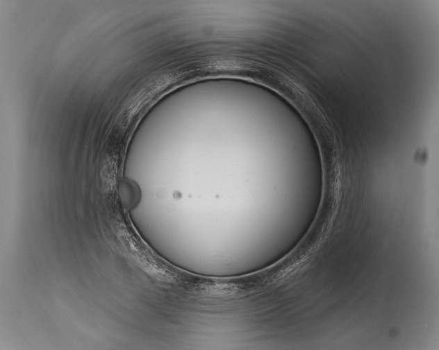 X0000115430833200911181459