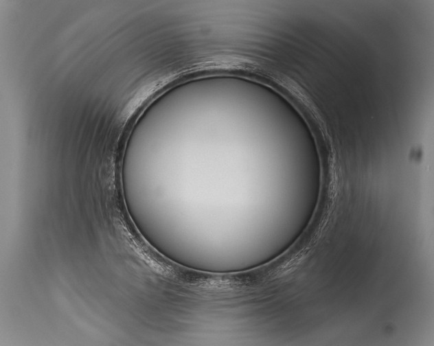 X0000115430834200911181459