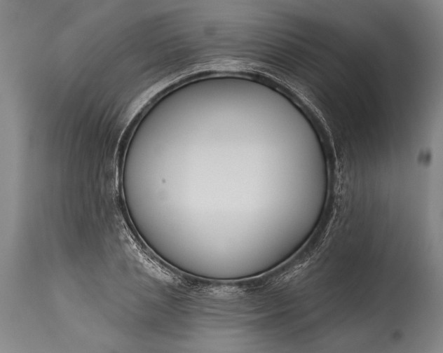 X0000115430837200911181459