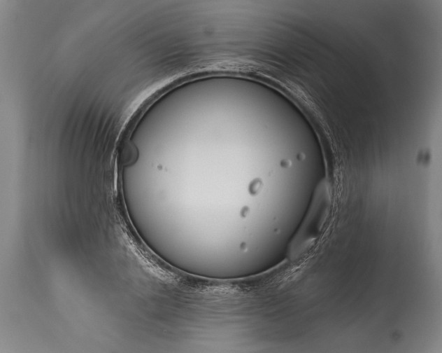 X0000115430838200911181459