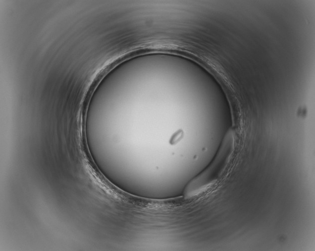 X0000115430840200911181459