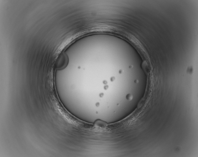 X0000115430842200911181459