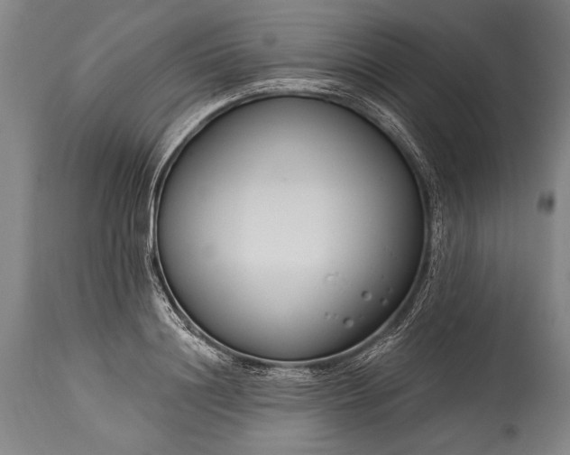 X0000115430844200911181459