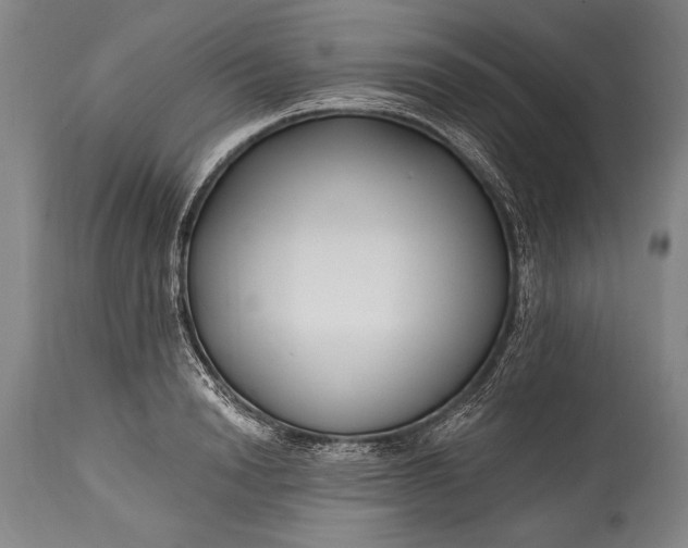 X0000115430846200911181459