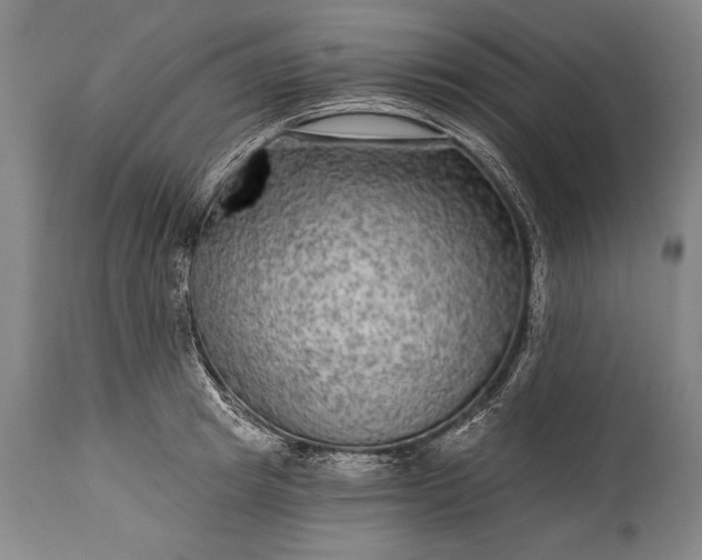 X0000115430849200911181459