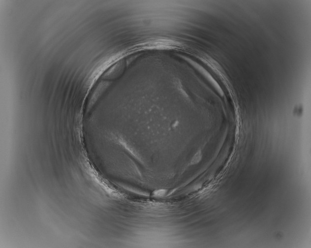 X0000115430850200911181459