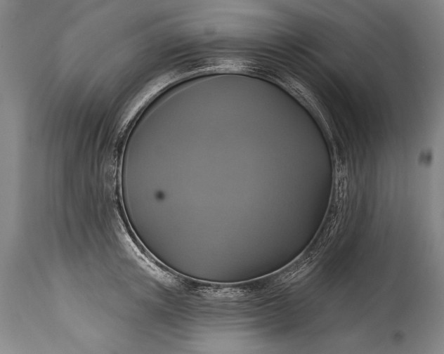 X0000115430851200911181459