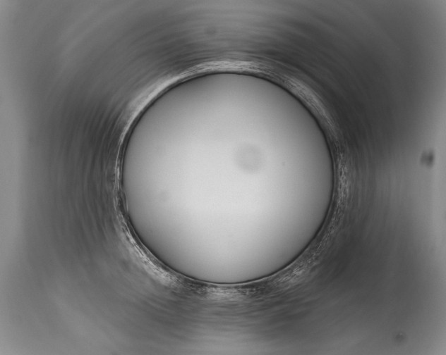 X0000115430852200911181459