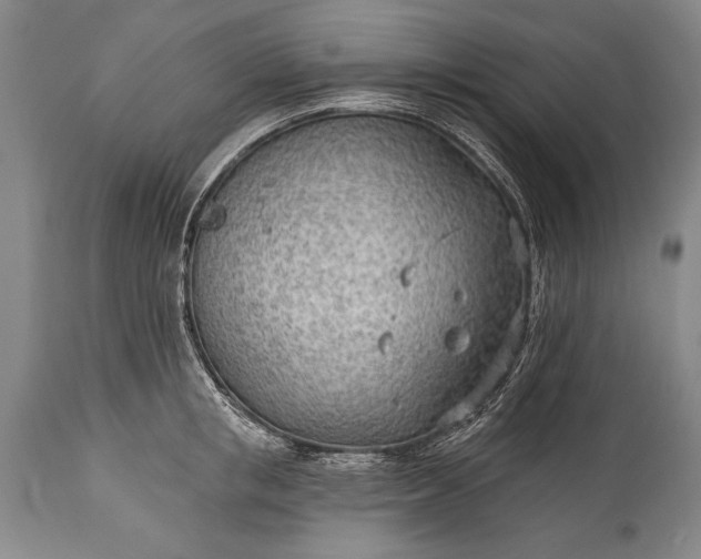 X0000115430853200911181459