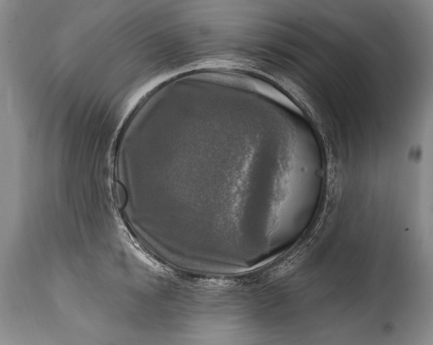 X0000115430854200911181459