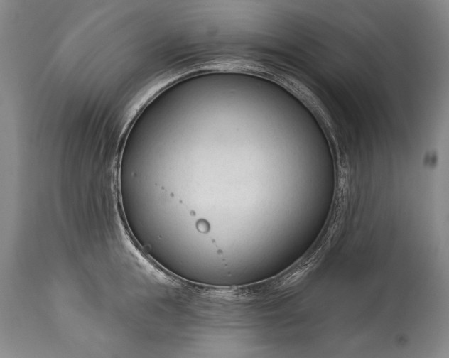 X0000115430855200911181459